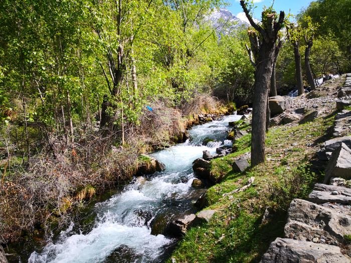 water stream sog valley